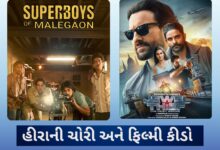 હીરાની ચોરી અને ફિલ્મી કીડો